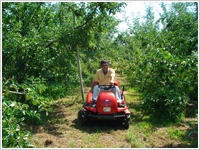 Fujimaki farm, Nagano Prefecture